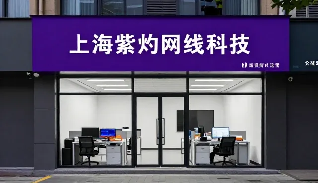网络技术咨询帮助客户实现上海紫灼网络科技目标